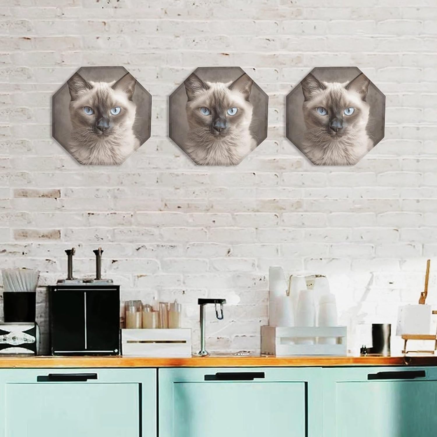 Ctagon Metal Sign for Home, Modern Display Plate for Kitchen, Beautiful Siamese Cat Plates Accent Hanging Wall Decorations 3PCS for Living Room, Bedroom, Hallway, Hotel