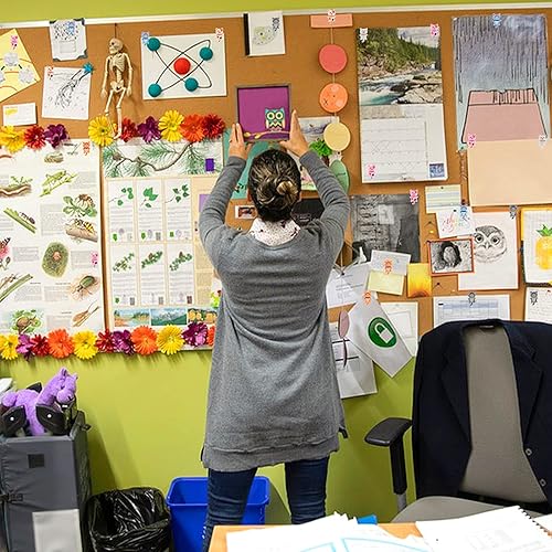 Miniatura 6 de Prasacco 30 pines de empuje tachuelas de pulgar de gato pasadores decorativos para tablero de corcho tachuelas para colgar en la pared chinchetas