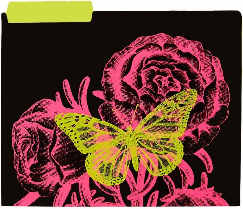 Girls Butterfly File Folders - 6pk.