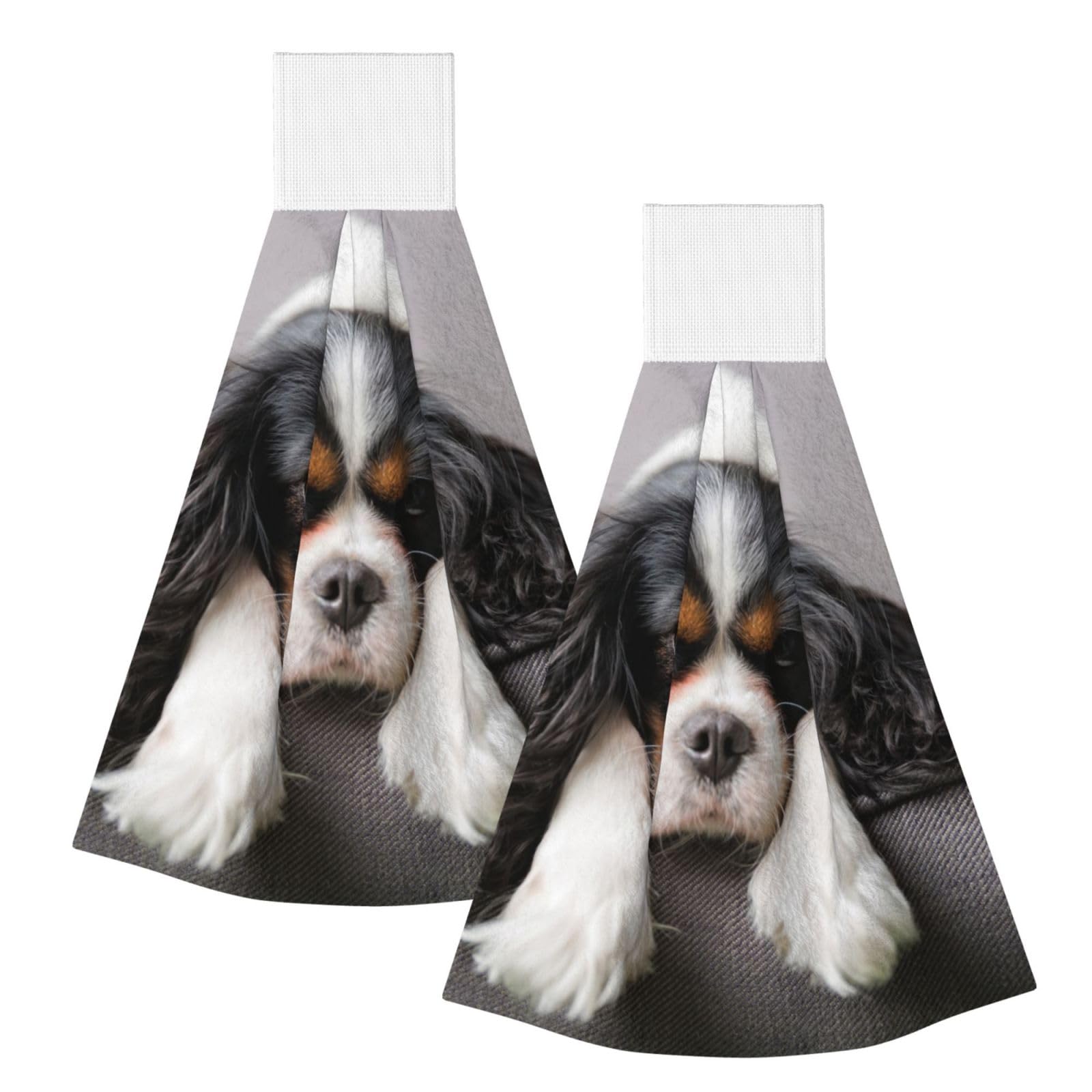 DOPKLNA Cavalier King Charles Spaniel Dog, 2 Pcs Hanging Coral Fiber Hand Towels for Bathroom, Absorbent Kitchen Towels