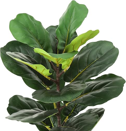 Miniatura 5 de Monarch Specialties I 9505 Planta artificial, 28 pulgadas de alto, árbol de violín, interior, falso, falso, suelo, vegetación, maceta, tacto real,