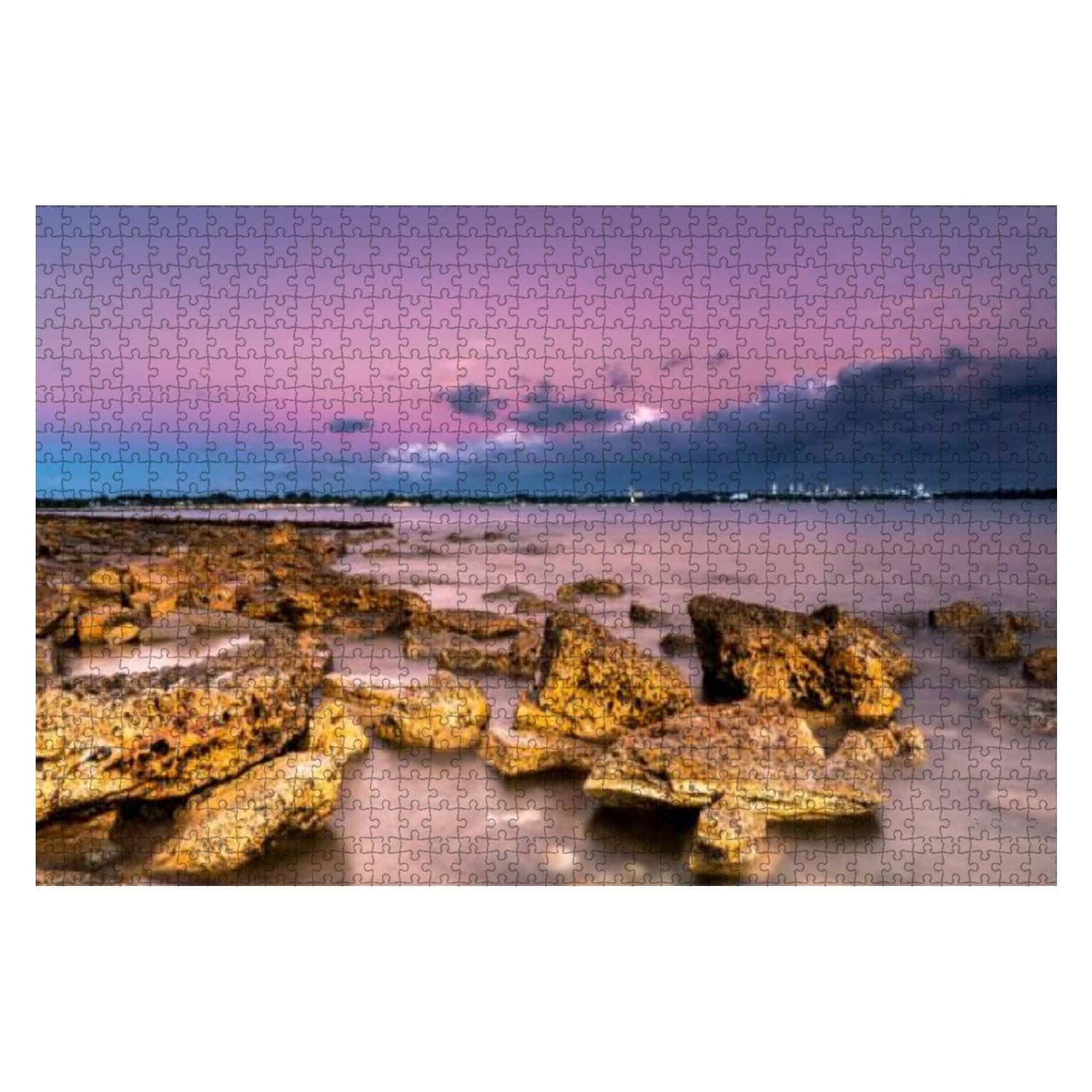 Darwin NT Australia East Point 1000 Pieces Wooden Jigsaw Puzzles for Adults Decompression DIY Children Educational Puzzles Creative Games Toys Gift Home Decor