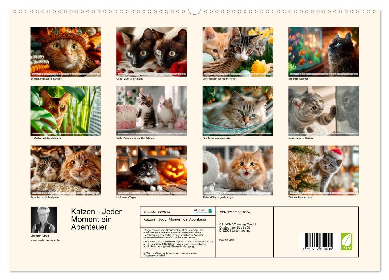 Katzen - Jeder Moment ein Abenteuer (hochwertiger Premium Wandkalender 2027 DIN A2 quer), Kunstdruck in Hochglanz: Chaos mit Charme (CALVENDO Tiere)