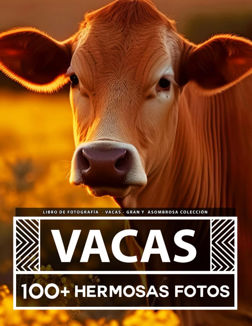 Libro De Fotografía - Vacas - Gran y Asombrosa Colección: 100 Hermosas Fotos En Este Fantástico Libro De Fotos De Vacas - Para Niños y Adultos