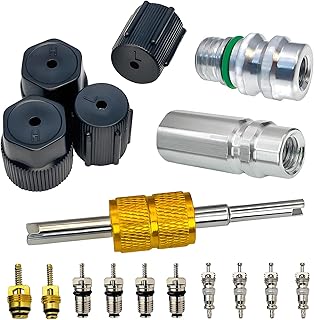 Air Conditioning Valve Core Kit | Cap & Valve AC R12 R134a Teflon Seal Refrigeration A/C Air Conditioning Service Valve Car & HVAC AC Charging Port Seal Caps Kit (A/C Service Port Cap & Valve Kits)