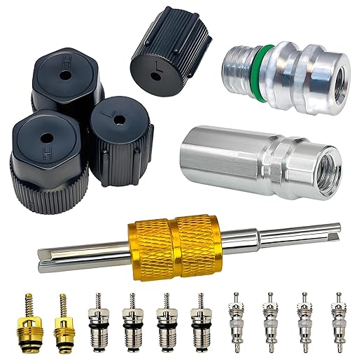 Air Conditioning Valve Core Kit | Cap & Valve AC R12 R134a Teflon Seal Refrigeration A/C Air Conditioning Service Valve Car & HVAC AC Charging Port Seal Caps Kit (A/C System Cap & Valve Seal Kits)