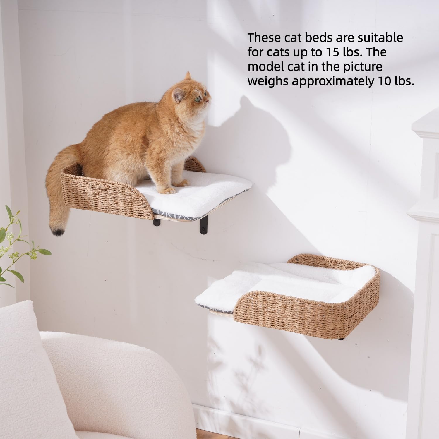 SHENGOCASE Modern Wall Mounted Cat Bed Perch with Handwoven Guardrail, 2-Pack, Wooden Shelves with Washable Pillow Cushions, Wall Furniture Set