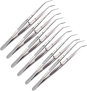 LAJA Imports 6 Pcs 6