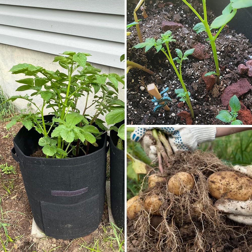 9 Pack Grow Bags Bulk Heavy Duty Thickened Fabric Pots Nonwoven Plant Bags with Handles, Breathable Plant Growing Containers Bags for Garden Fruit Vegetable Flower 3 Color (10 Gallon)