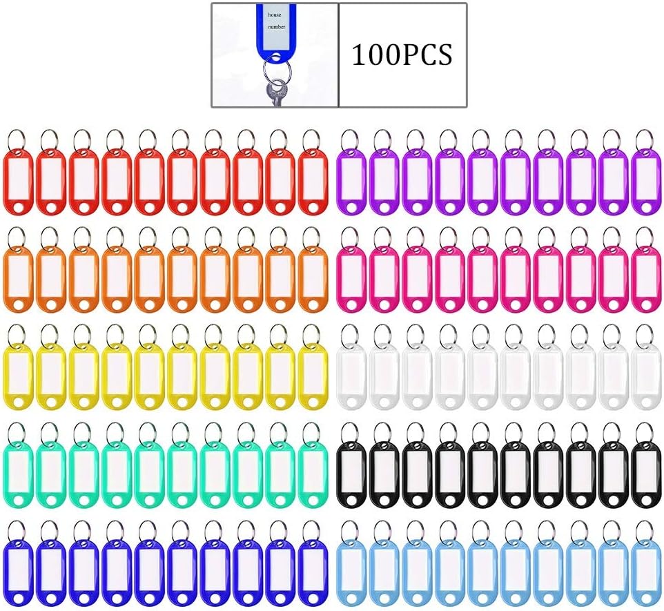 Pengxiaomei 100pcs Key Tags, Plastic Keyring Tags with Ring 10 Colors ID Label Tag Luggage Id Labels Name Tags Id Tags Key Rings