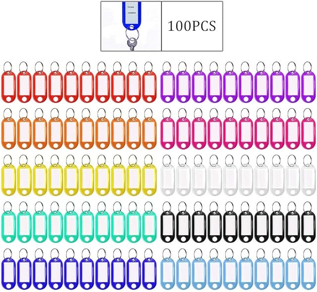 Pengxiaomei 100pcs Key Tags, Plastic Keyring Tags with Ring 10 Colors ID Label Tag Luggage Id Labels Name Tags Id Tags Key Rings