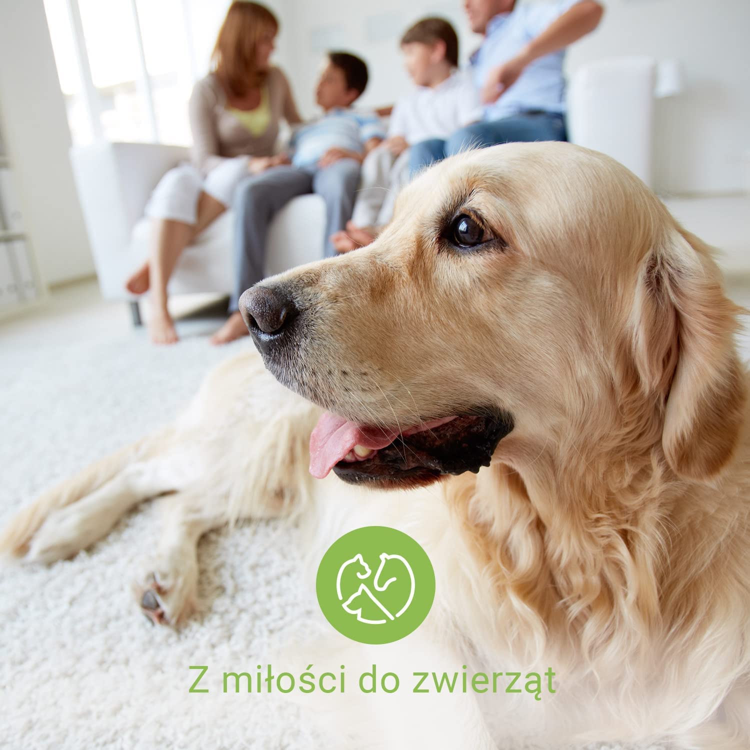 Balsam do łap z woskiem pszczelim dla psów i kotów | 40 ml – 100% naturalny balsam nadaje się do pielęgnacji łap i ochrony łap Wykonano w Niemczech