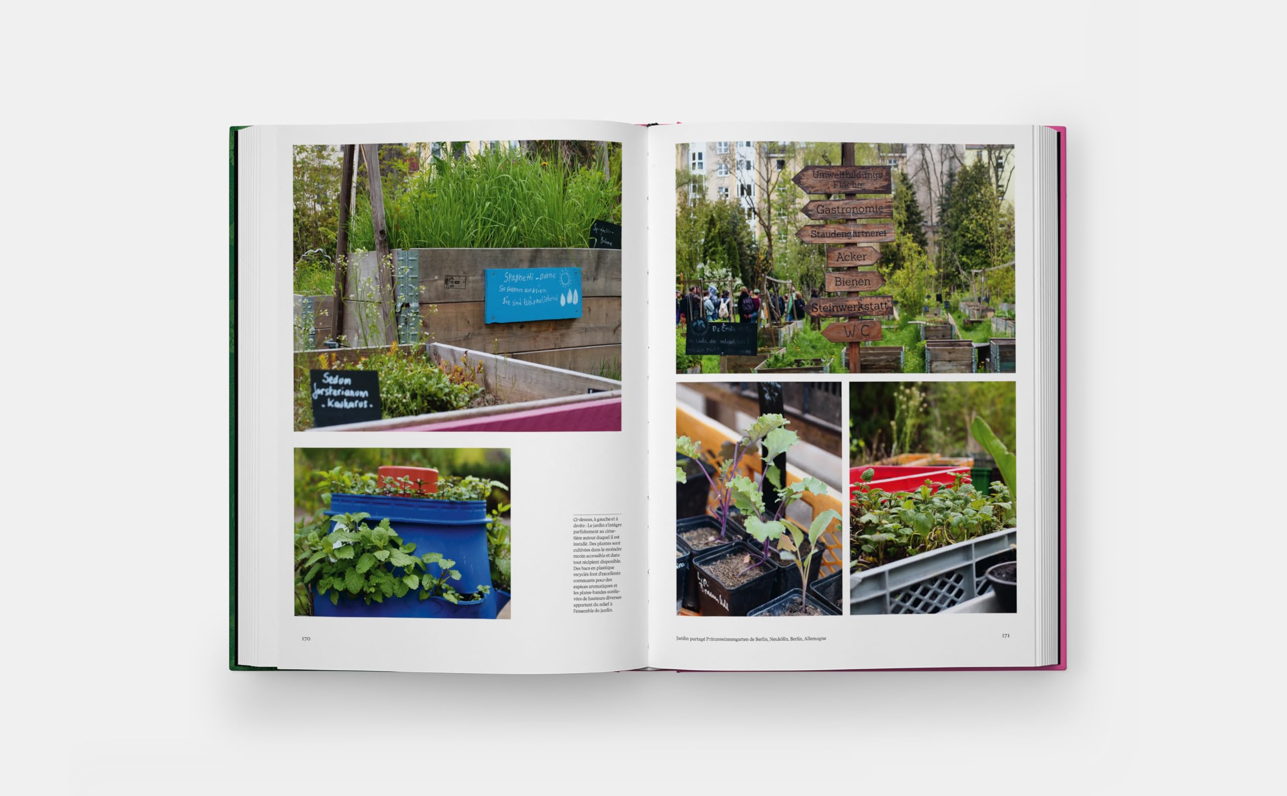 Jardins Potagers