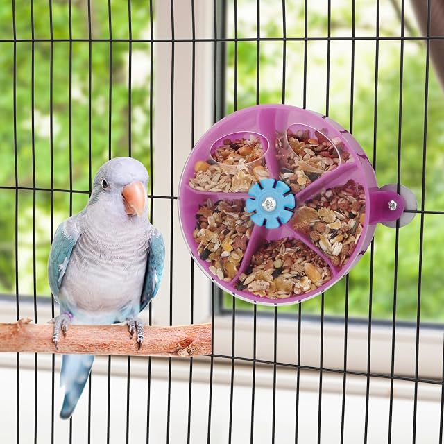 Foto 7 de 7 de Juguete creativo para pájaros, loro, forraje, semillas, comida, bola, rueda giratoria, inteligencia