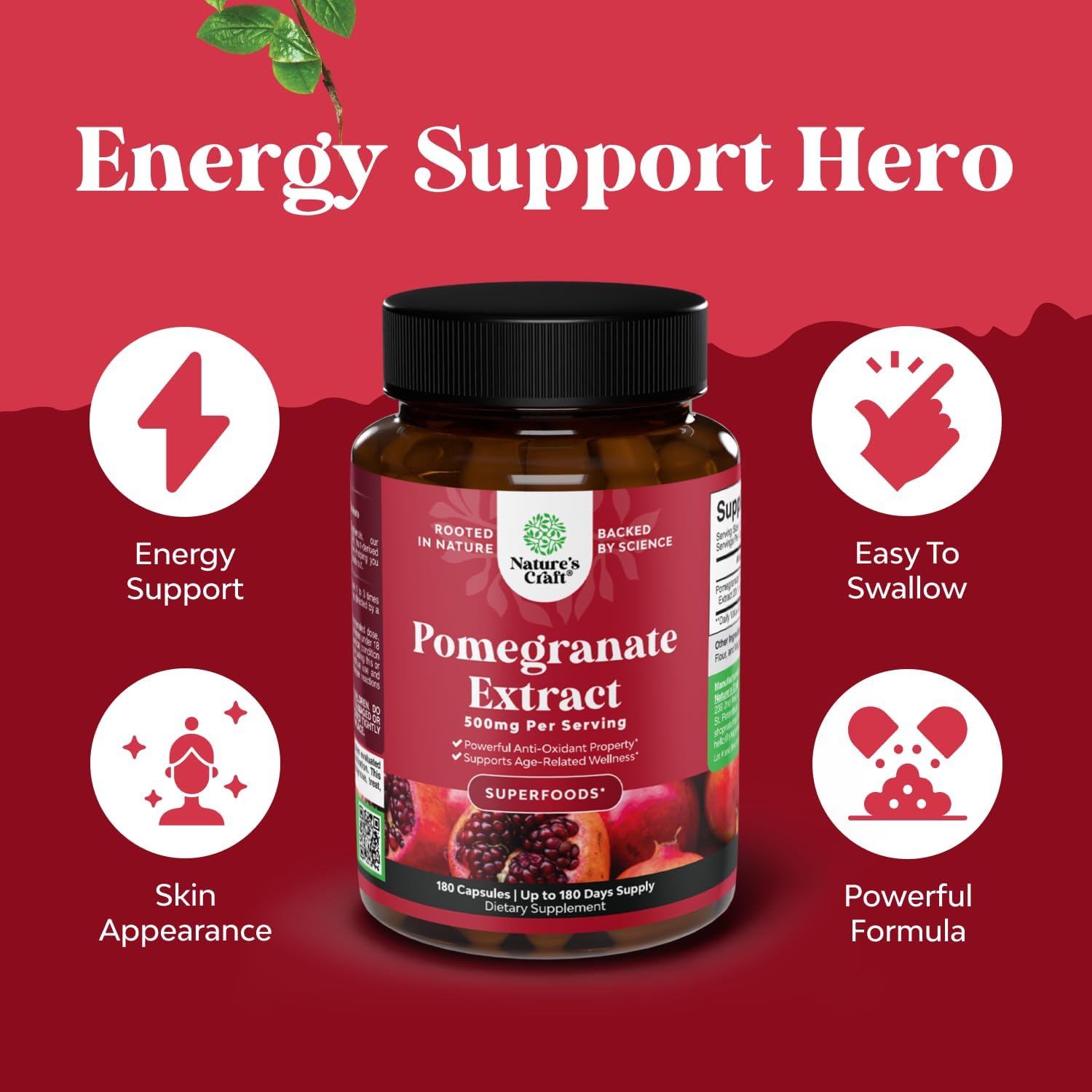Advanced Antioxidant Superfood Pomegranate Supplement - Natural Pomegranate Extract Polyphenols Supplement for Heart Health and Joint Support - Reds Superfood Powder Capsules for Men and Women 180ct