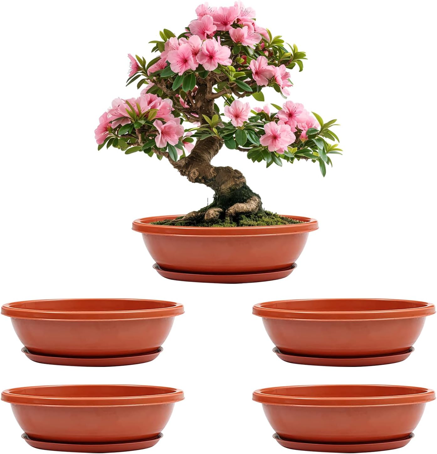 Agora 5 Pieces 15" Oval Bonsai Plant Pots with Trays, Virgin Plastic Bonsai Pots, Flower Succulent Pots with Trays Durable Planter Plants Growing Pots Container for Garden Big (Brown)