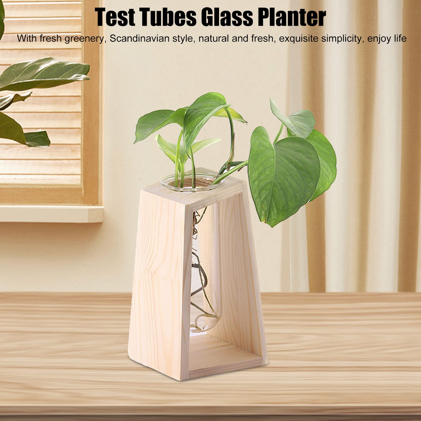 Mini Vase à Essai En Verre Sur Support Bois - Pour Plantes Hydroponiques, Déco Bureau, Rebor De Fenêtre - 10x7x18 Cm
