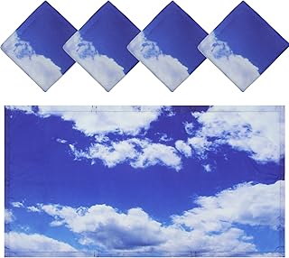 Paquete de 4 cubiertas de lámpara fluorescente con imán de 4 x 2 pies, cubiertas de luz DDFS para aula que tienen diferentes colores azul cielo