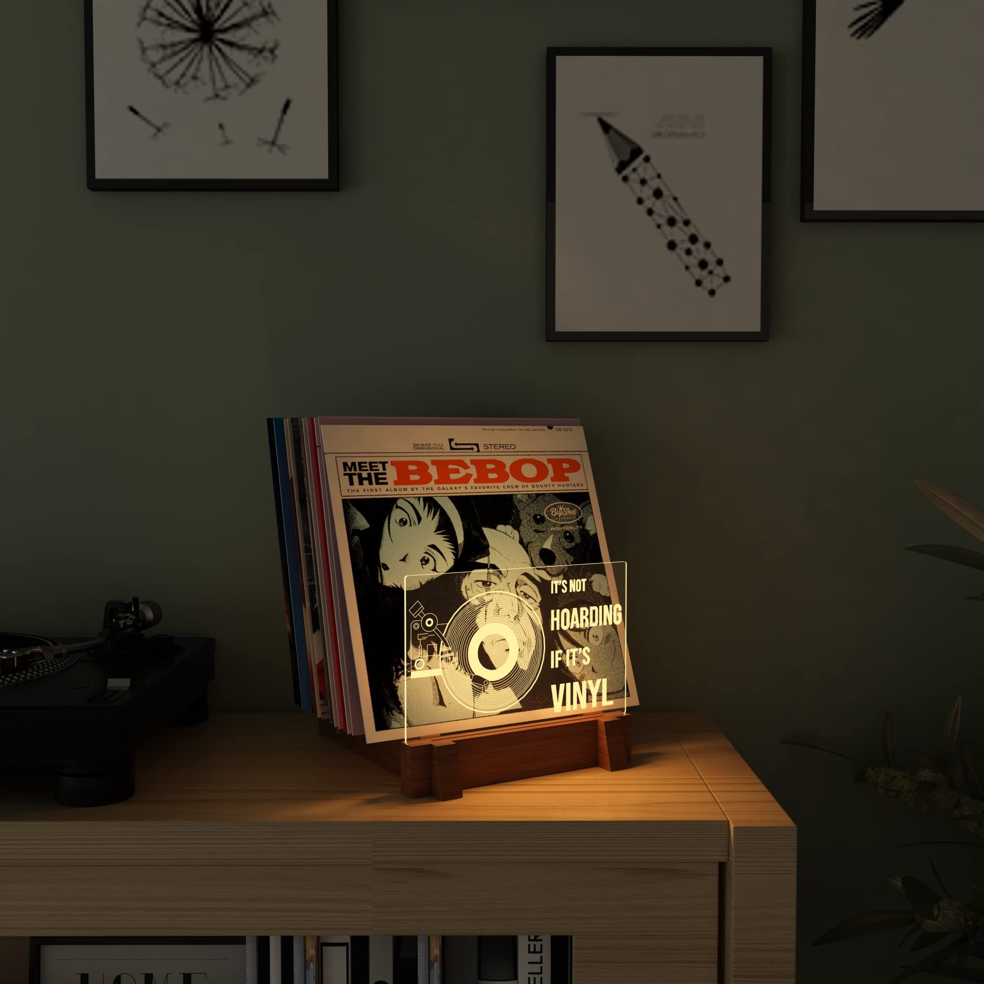 YuanDian Beleuchtete Vinyl-Schallplatten-Aufbewahrung, Schallplattenständer, hölzerne Acryl-Halter für Vinyl-Album-Display und Lagerung mit Warmweiße Farbe Lichter Schallplatte