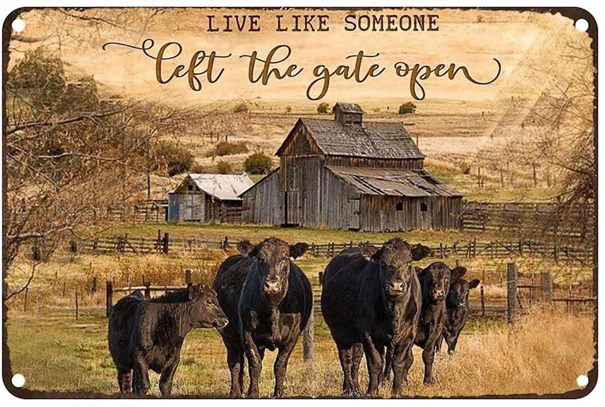 Vintage Metal Tin Sign Live Like Someone Left The Gate Open Black Angus Cow Rustic Wall Decor for Home Bedroom Bar Cafe Club 8x12 Inch