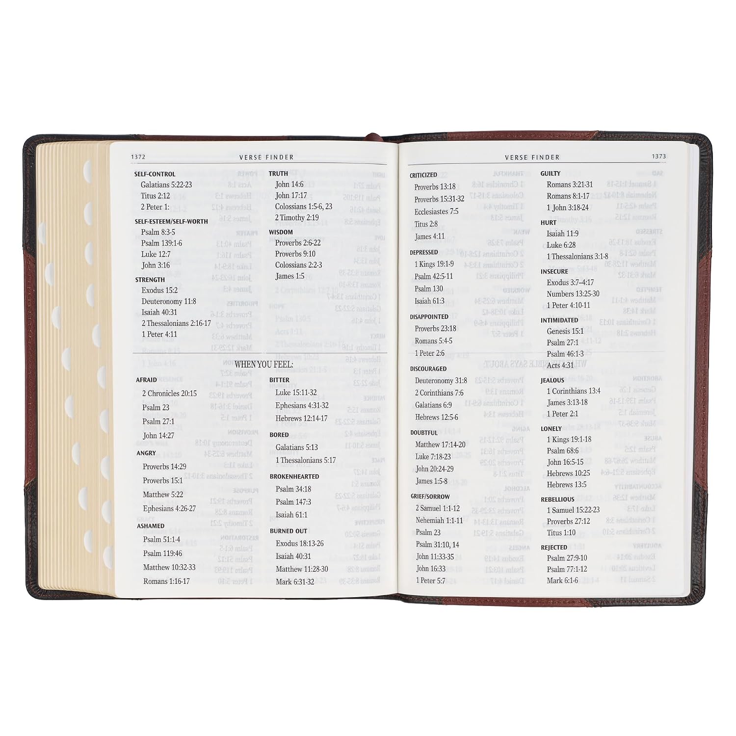 KJV Holy Bible, Giant Print Full-size Premium Full Grain Leather Red Letter Edition - Thumb Index & Ribbon Marker, King James Version, Espresso/Saddle Tan (KJV Full Size GP Editions)