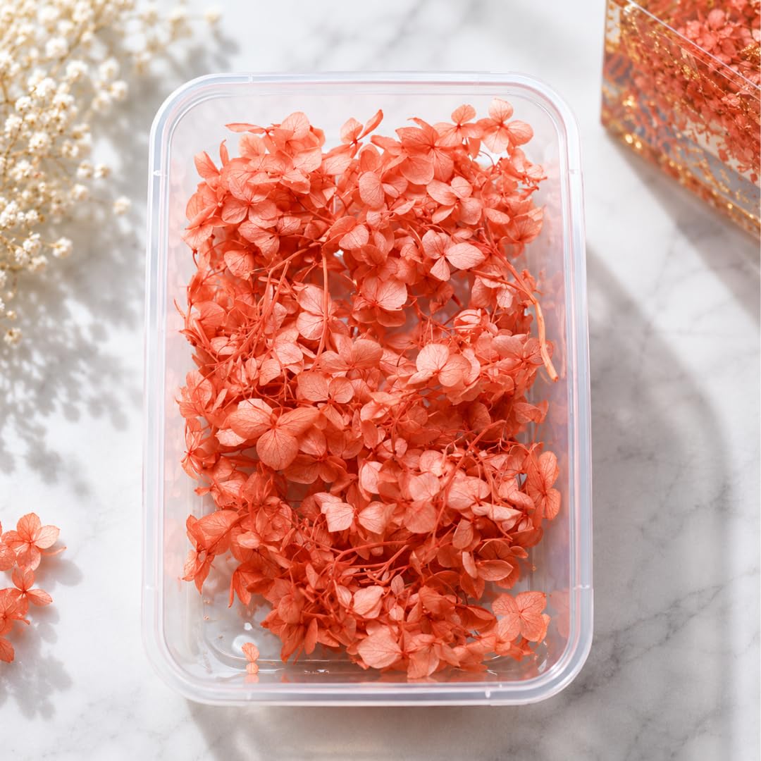 Orange Hydrangea Dry Flowers for Resin Art Natural Preserved Dried Flowers for Epoxy Resin Jewelry Making UV Resin Candle Decoration Home Decor Preservation Flowers Hydra-image-21