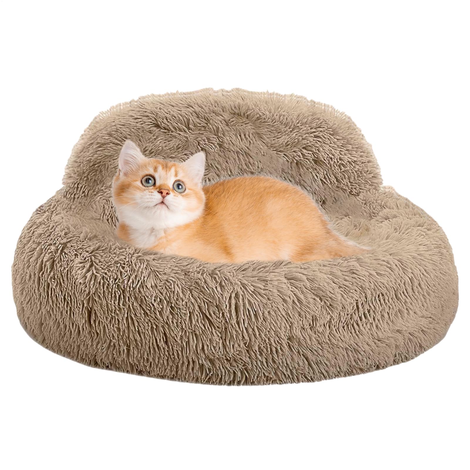 Canapé confortable pour chien idéal en temps orageux pour apaiser le stress dans la maison