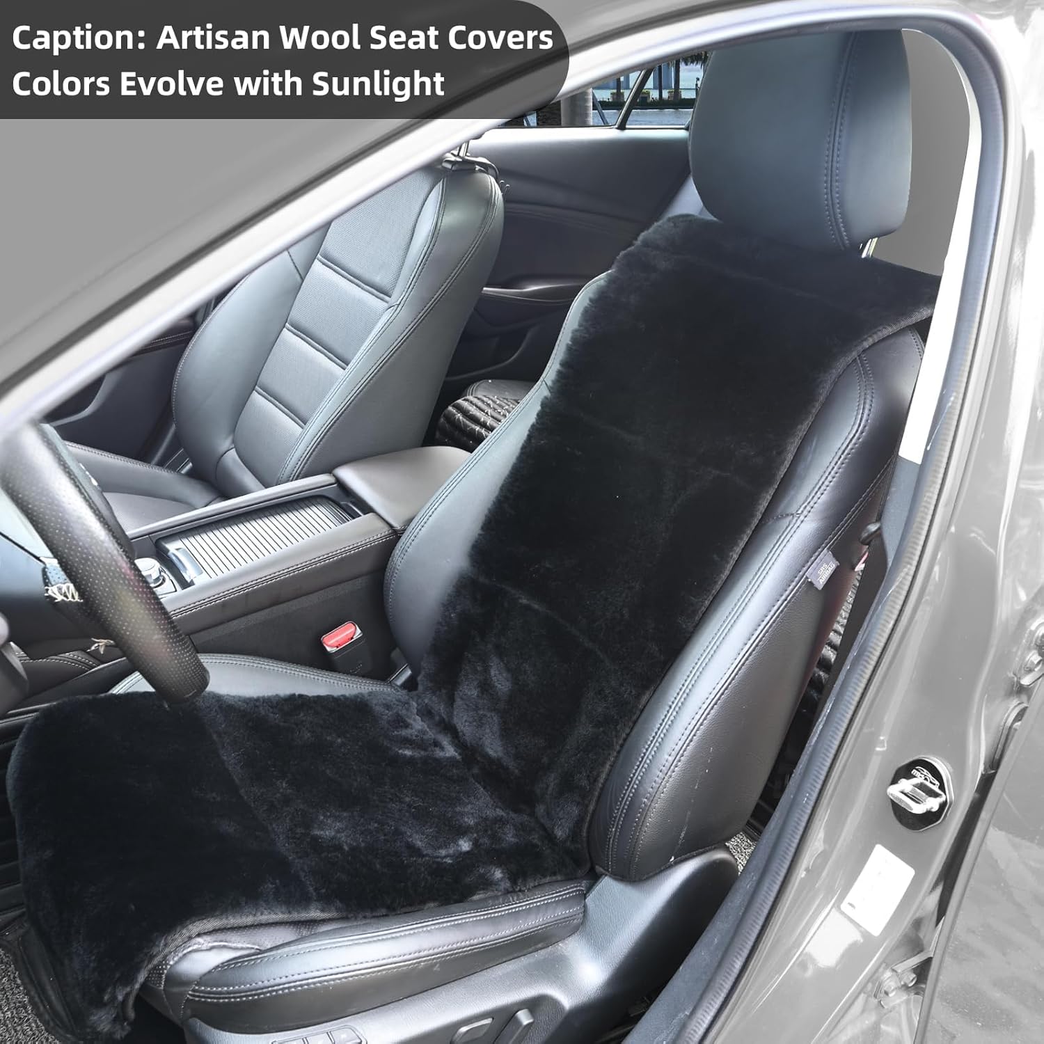 AEGIS Cover Luxury Australian Sheepskin Semi-Custom Seat Cover Vested Interior for Most Cars, Suvs, Trucks, Sedans, Aircraft and Sports Cars (Black)
