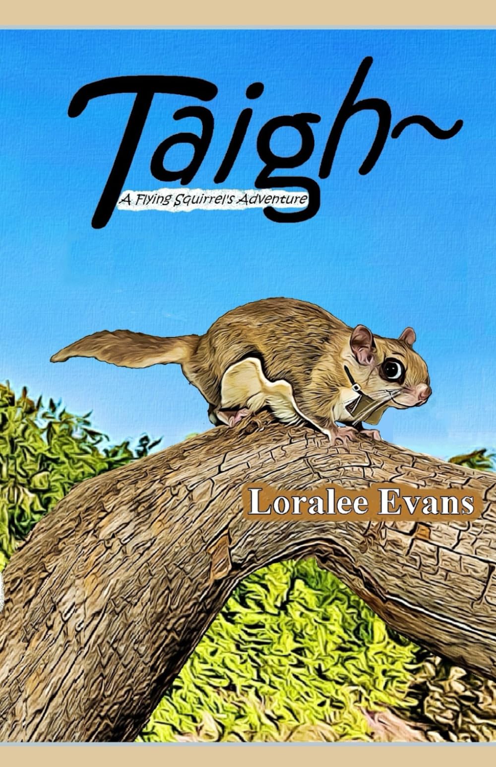 Taigh~ A Flying Squirrel's Adventure