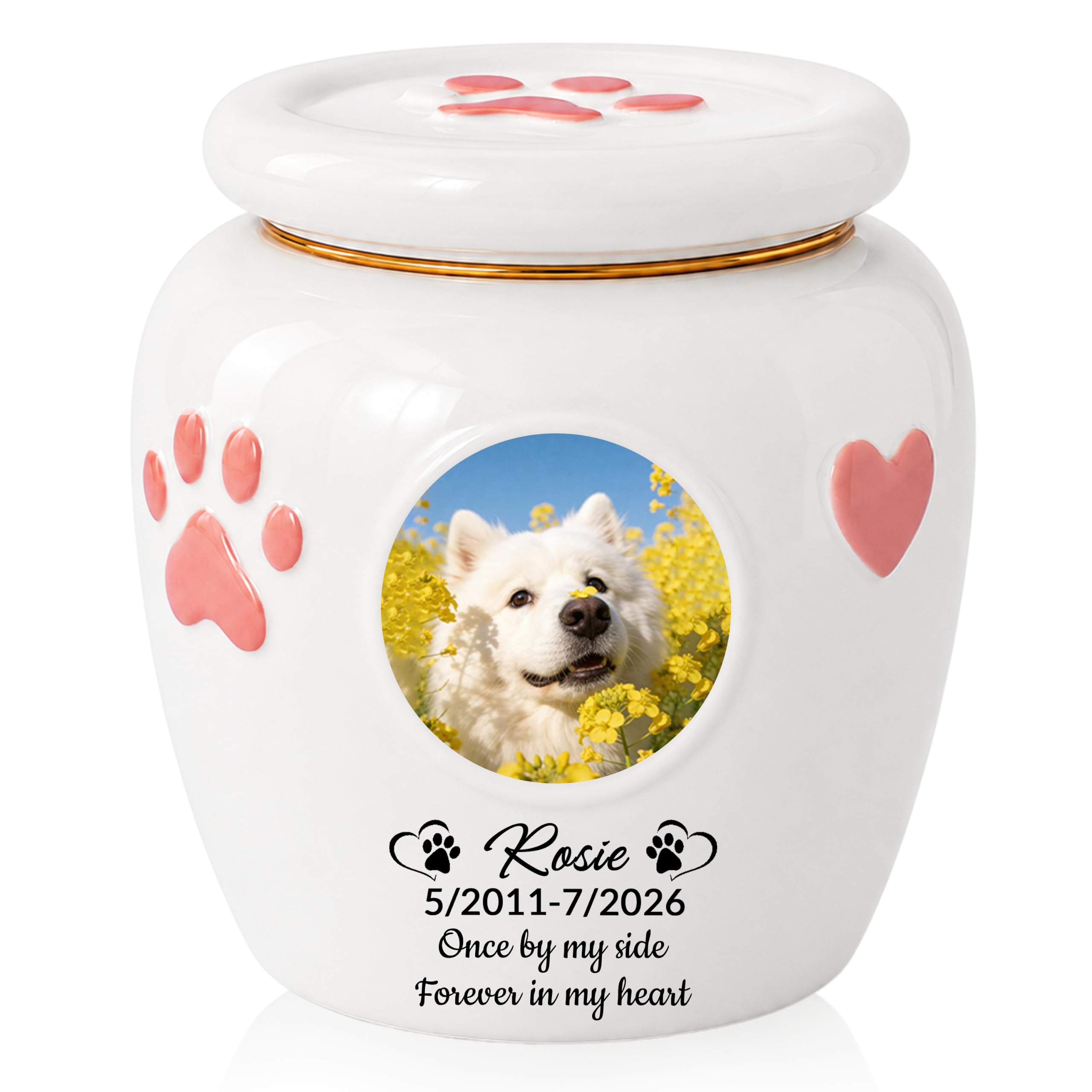 Iwe Custom Dog Urns for Ashes with Photo Name, Ceramic Urn for Dog Ashes