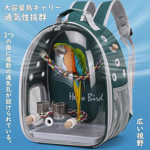 鳥用 キャリーバッグ 鳥用 インコ キャリー リュック 鳥用 移動用ケージ 文鳥 セキセイインコ オカメインコ キャリーケース とまりロープつき 餌入れ 通気 透明 広い空間 散歩、旅行、避難用の鳥かご (グリーン1) - 3
