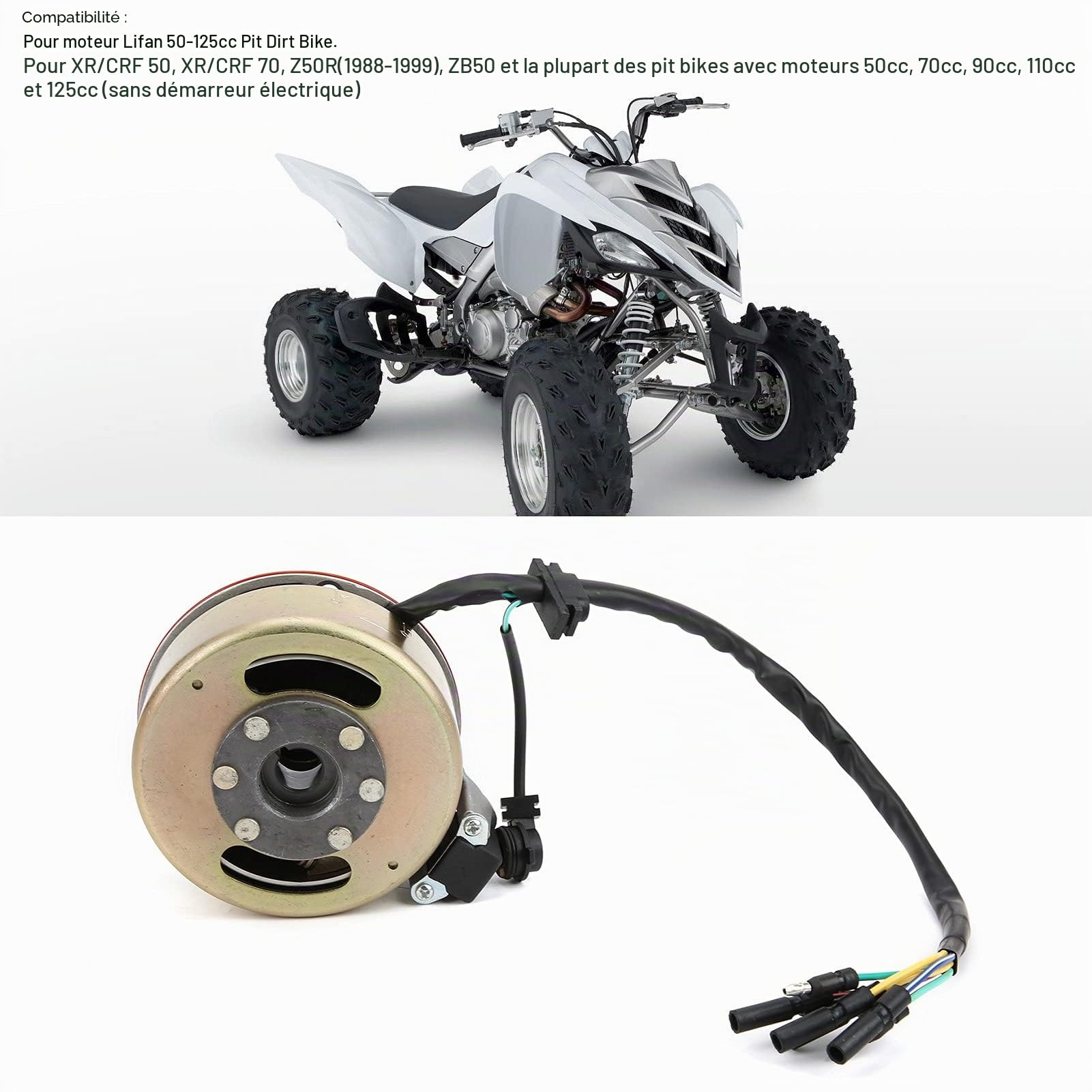 CHICIRIS Volant Moteur de Stator D'allumage, RéParation du Volant D'Inertie du Stator D'Allumage pour Moteur Lifan Pit Dirt Bike