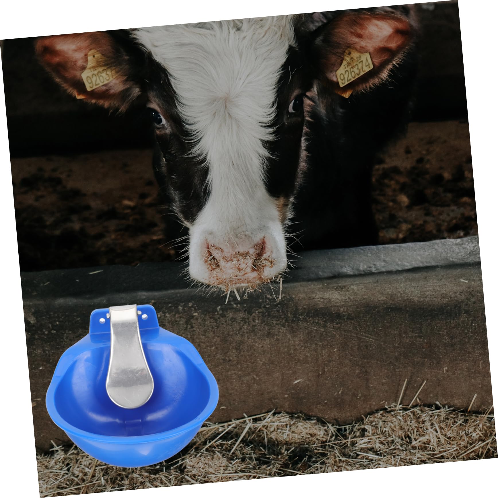 BESPORTBLE Ciotola Per Abbeveraggio Dispenser Per Mucche e Facile Realizzata Inossidabile Accessori Per e Allevamenti