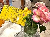 Review Image by Grieffield Grieffield