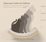 Ver la foto 4