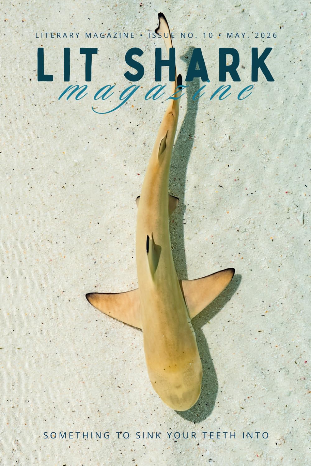 Lit Shark Magazine: Issue 10: The Winter Edition: May 2026