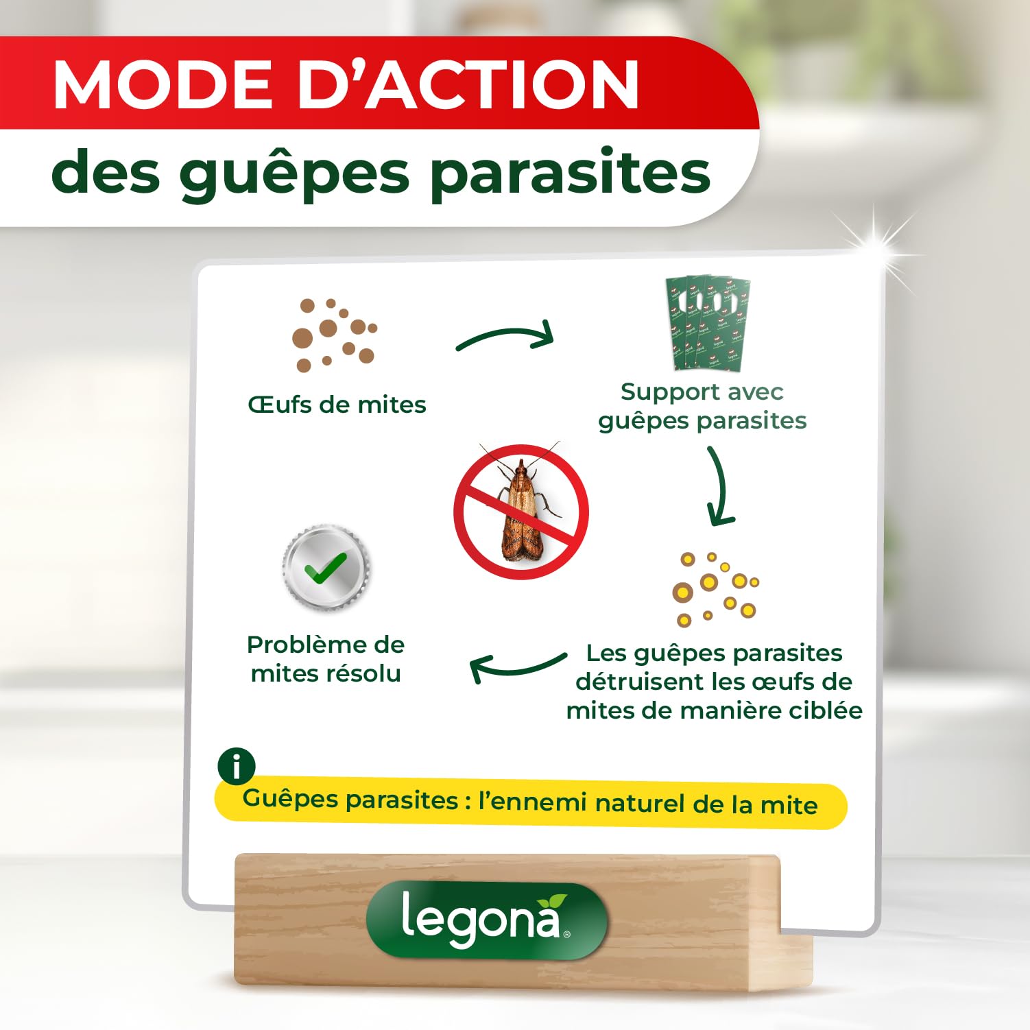 Legona Trichogrammes Anti Mites Alimentaires - 4 Cartes à 1 Livraison - Anti-Mites Naturel - Puissant Produit Contre Les Mites