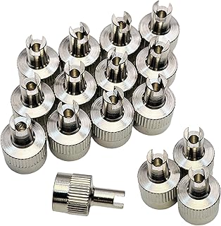 Tire Valve Caps, 12Pcs Metal Valve Stem Caps with Valve Core Remover, Rubber Seal Inside, Universal for Cars, Trucks, Motorcycle, Bicycle (Silver)