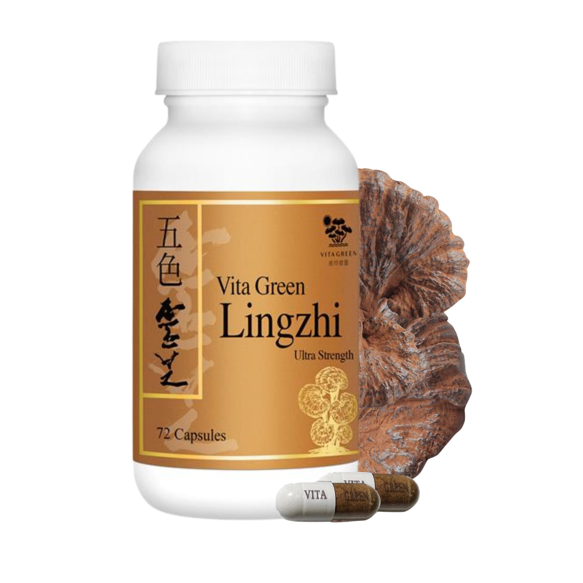 - Vita Green Lingzhi Mushroom Supplement (五色靈芝) – Pure Reishi with Natural Antioxidants for Wellness, Energy, and Immune Support for Men & Women – 72 Capsules