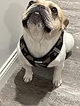 Review Image by Amazon Customer