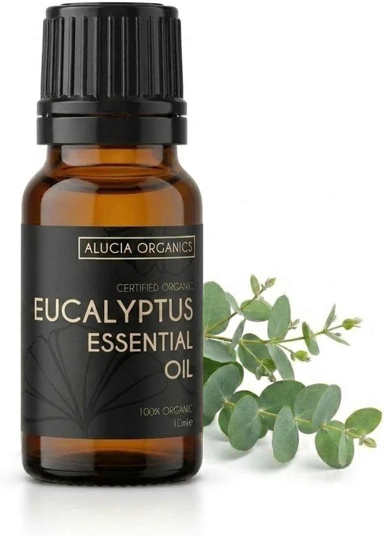 Eucalyptus Essential Oil 10ml Organic Undiluted | Ideal for Diffuser Humidifier and Massage Blends with Pure Aromatherapy Quality for Natural Home and Beauty Use