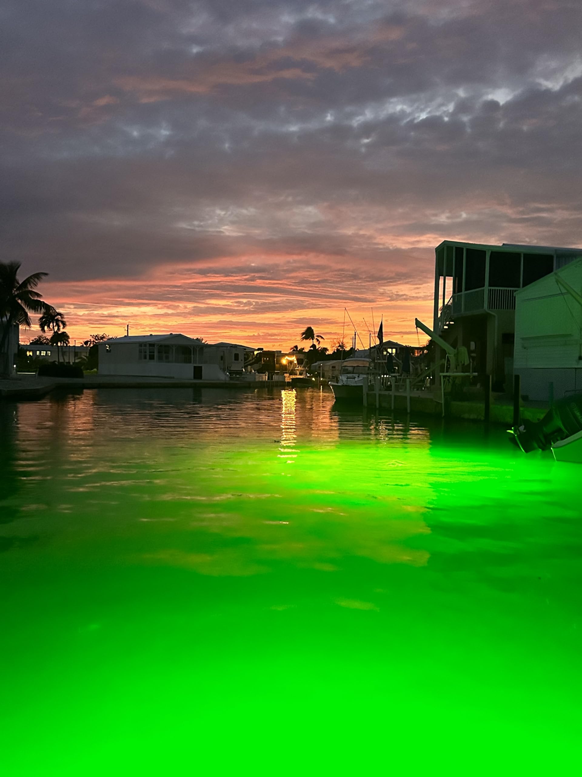 Saltwater Approved Underwater Light Kit, 14000 Lumen Metal Halide, Double Dock Light