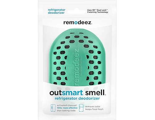 Essential Guide to Remodeez: The Ultimate Odor Eliminator