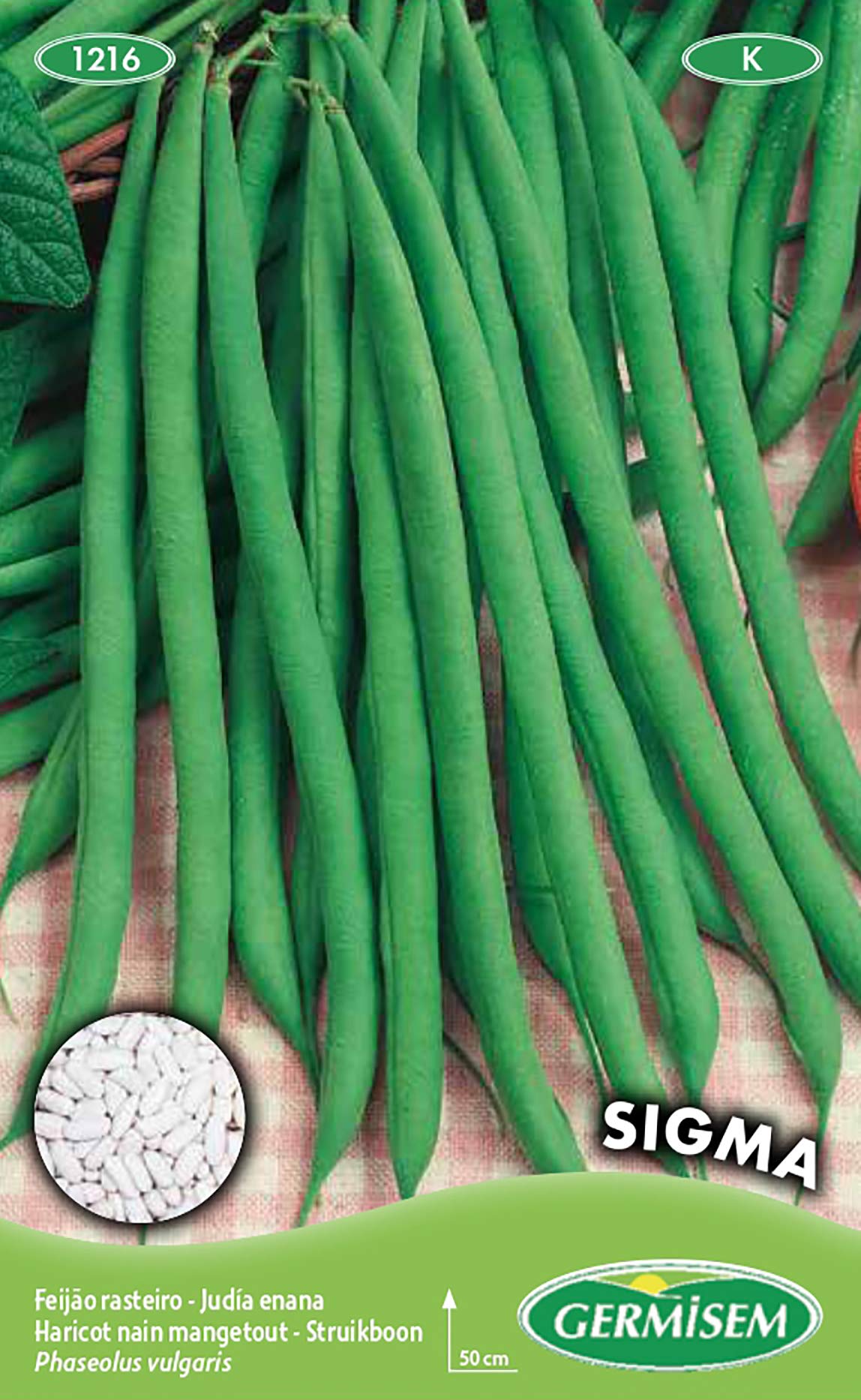 Germisem Graines Haricot Nain Mangetout ROI DES BEURRES - Gousses Jaunes Sans Fil 15-17cm