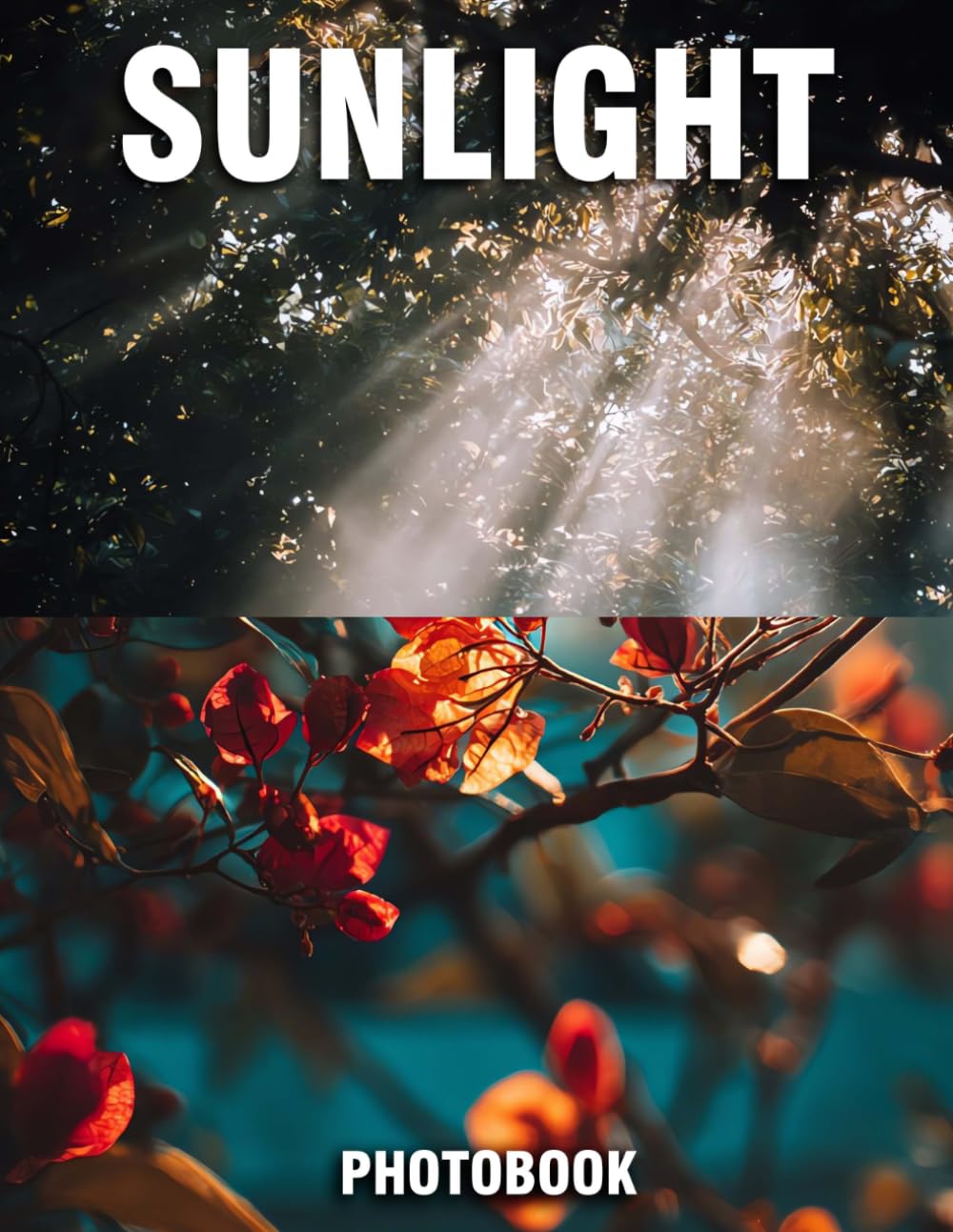 Sunlight Photobook: Vivid Photographs That Illuminate Serenity | A Coffee Table Collection Of Golden Sunlit Scenes And Radiant Natural Landscapes