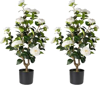 Datietiao Artificial Camellia Tree 2 Pack - Realistic Faux Camellia Plants with White Flowers in Pots, Lifelike Greenery for Indoor Outdoor Home Patio Wedding Decor