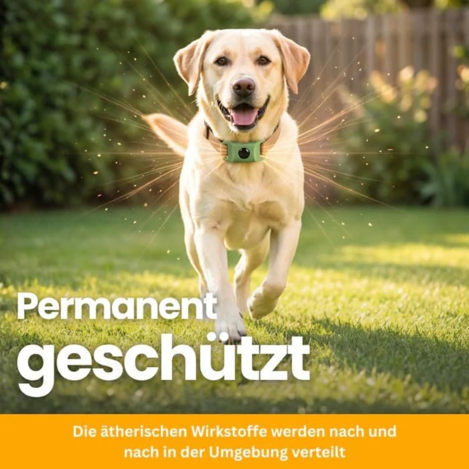 Fell-Freund TickGuard Clip – Gegen Zecken Und Flöhe, Repellent-Hänger, 100% Natürliche Inhaltsstoffe (Schwarz,2 Stück)