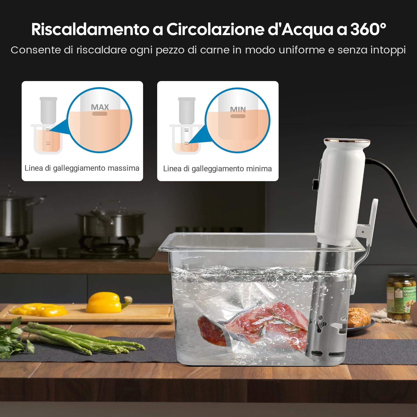 INKBIRD Wifi Sous Vide Roner 1000W 0-90℃ Cottura Bassa Temperatura TFT
