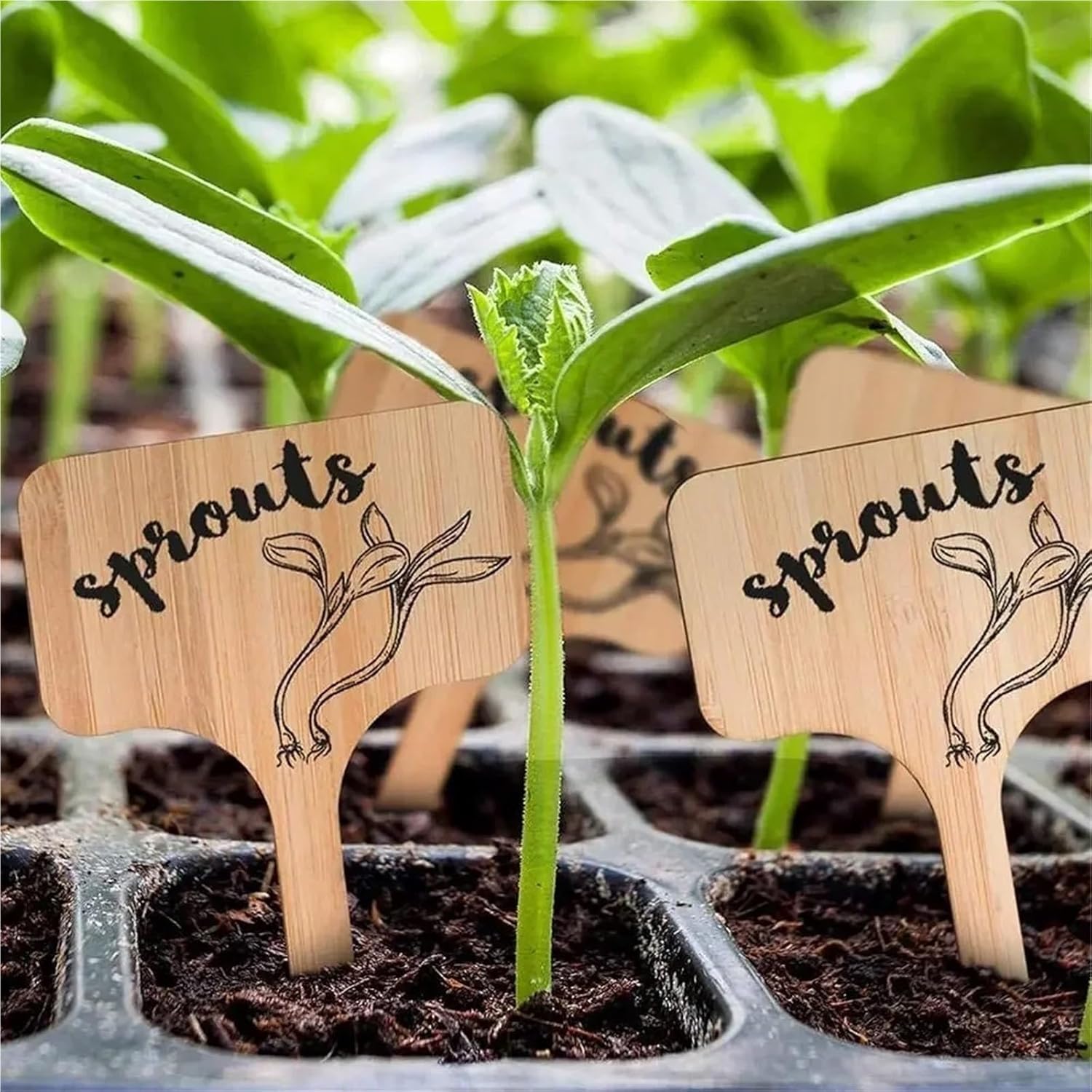 Wooden Plant Labels 30/50/100pcs T-Type Bamboo Plant Labels Wooden Sign Tags Garden Markers for Bonsai Seed Potted Herbs Flower(30pcs)