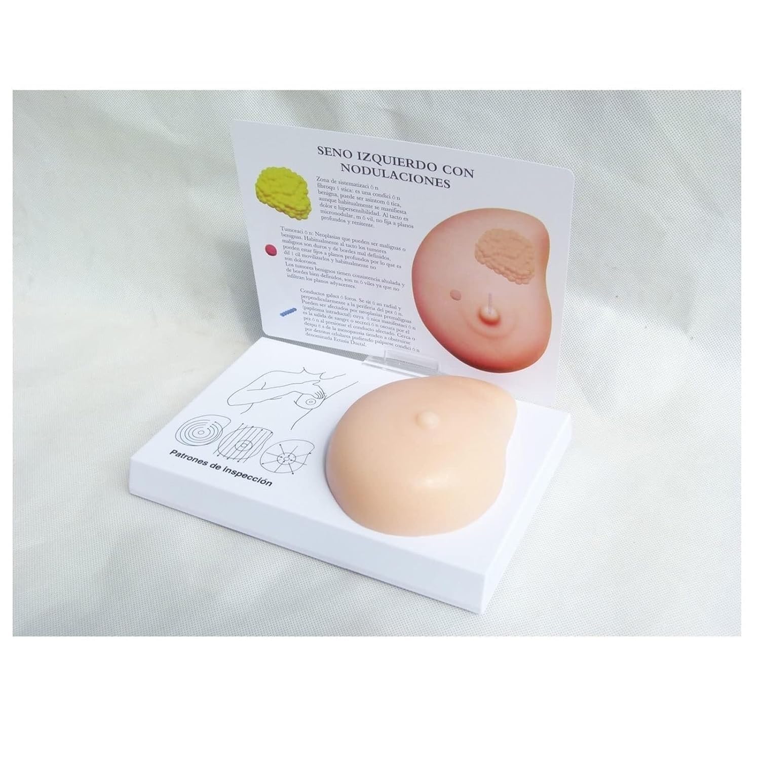 Modello di seno in silicone, modello anatomico del cancro al seno, modello di autotest patologico del seno for grumi, strumento medico, for la comunicazione medico-paziente, insegnamento